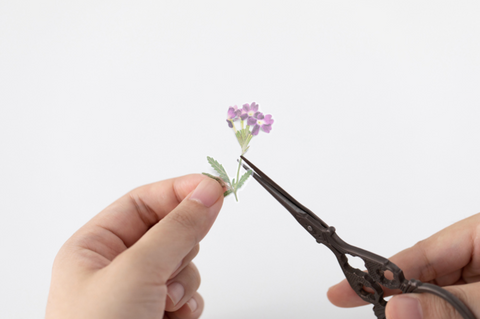 Pressed Flower Sticker [Verbena] | Printed Dried Flower Sticker