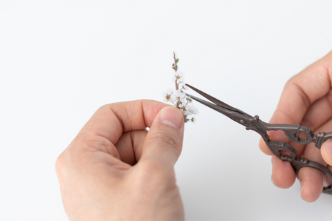 Pressed Flower Sticker [Bridal Wreath] | Printed Dried Flower Sticker