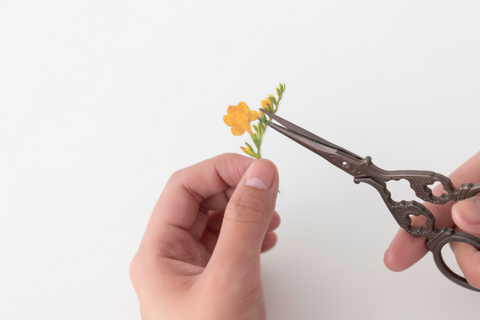 Pressed Flower Sticker [Freesia] | Printed Dried Flower Sticker