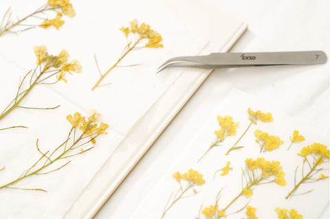 Pressed Flower Sticker [Mimosa] | Printed Dried Flower Sticker