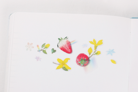 Fruit Seal Sticker [Strawberry]