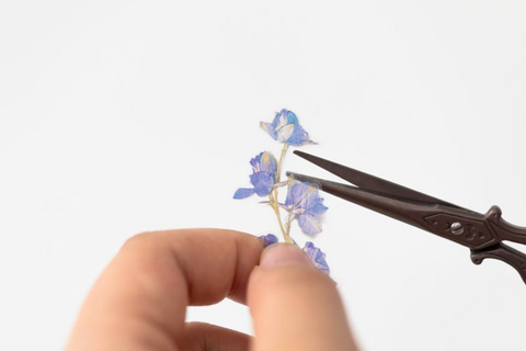 Pressed Flower Sticker [Larkspur] | Printed Dried Flower Sticker