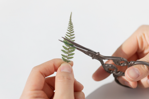 Pressed Flower Sticker [Bracken] | Printed Dried Flower Sticker