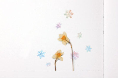 Nature Seal Sticker [Snow]