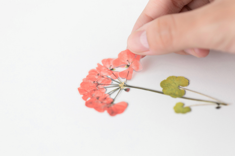 Pressed Flower Sticker [Geranium] | Printed Dried Flower Sticker
