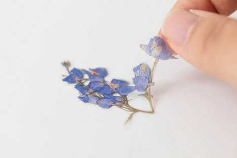 Pressed Flower Sticker [Larkspur] | Printed Dried Flower Sticker
