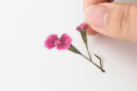 Pressed Flower Sticker [China Pink] | Printed Dried Flower Sticker