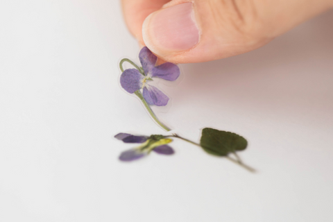 Pressed Flower Sticker [Manchurian Violet] | Printed Dried Flower Sticker