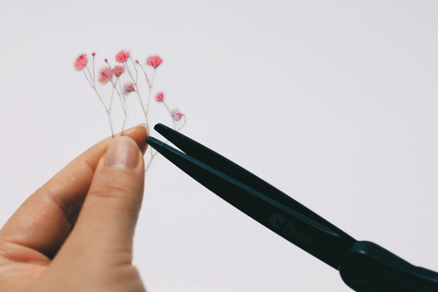 Pressed Flower Sticker [Baby's breath] | Gypsophila Printed Dried Flower Sticker