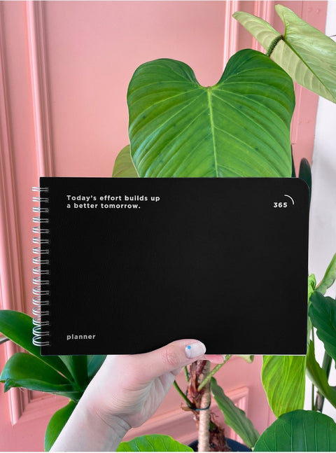 Build Up 365days Daily Planner [5colors] | Daily Time Scheduler