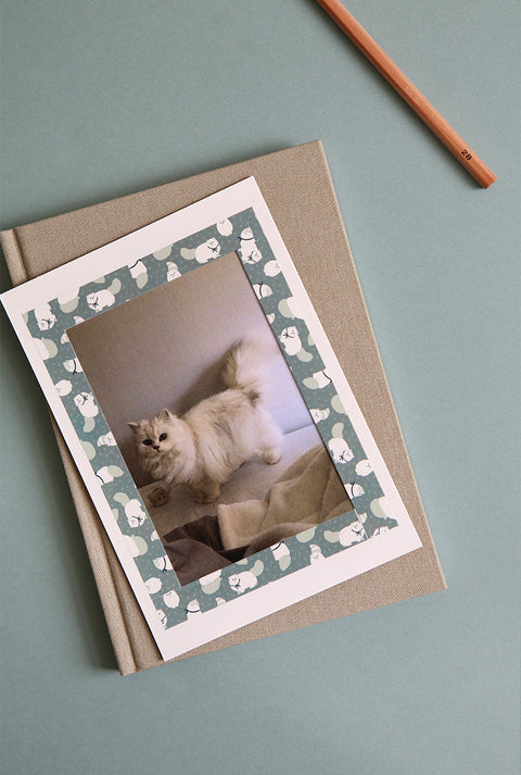 Masking Tape [116 Persian cat]