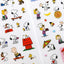 Peanuts Sticker [2types]