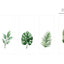 Magnetic Bookmarks _ Tropical Leaves 5P