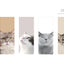 Magnetic Bookmarks _ My Pet Cat 5P