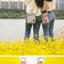 Travelus Cross Bag v.5 [4colors] | Daily Shoulder Bag