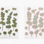 Pressed Flower Sticker [Eucalyptus] | Printed Dried Flower Sticker