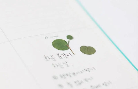 Pressed Flower Sticker [Eucalyptus] | Printed Dried Flower Sticker