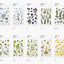 Pressed Flower Sticker [Eucalyptus] | Printed Dried Flower Sticker