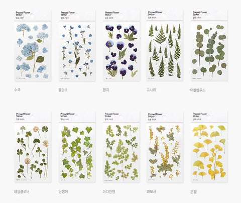Pressed Flower Sticker [Eucalyptus] | Printed Dried Flower Sticker