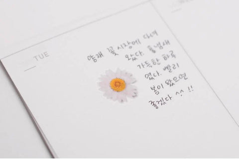 Pressed Flower Sticker [Margaret flower] | Printed Dried Flower Sticker