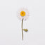 Pressed Flower Sticker [Margaret flower] | Printed Dried Flower Sticker
