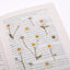 Pressed Flower Sticker [Margaret flower] | Printed Dried Flower Sticker
