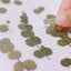 Pressed Flower Sticker [Eucalyptus] | Printed Dried Flower Sticker