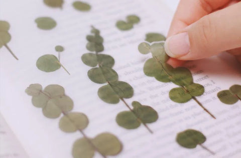Pressed Flower Sticker [Eucalyptus] | Printed Dried Flower Sticker