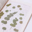 Pressed Flower Sticker [Eucalyptus] | Printed Dried Flower Sticker