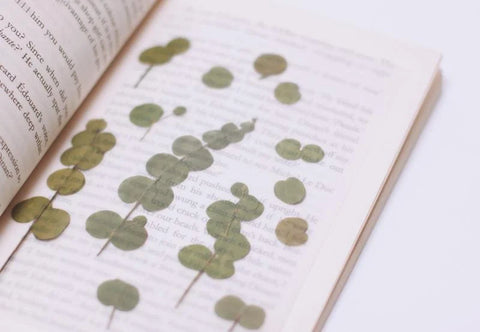 Pressed Flower Sticker [Eucalyptus] | Printed Dried Flower Sticker