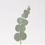 Pressed Flower Sticker [Eucalyptus] | Printed Dried Flower Sticker