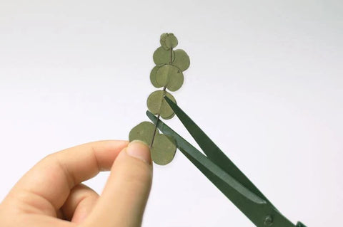 Pressed Flower Sticker [Eucalyptus] | Printed Dried Flower Sticker