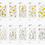 Pressed Flower Sticker [Margaret flower] | Printed Dried Flower Sticker