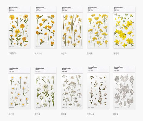 Pressed Flower Sticker [Margaret flower] | Printed Dried Flower Sticker