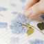 Pressed Flower Sticker [Hydrangea] | Printed Dried Flower Sticker