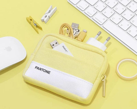 Pantone Mini Pocket Pouch [5colors] | Card Case | Wallet