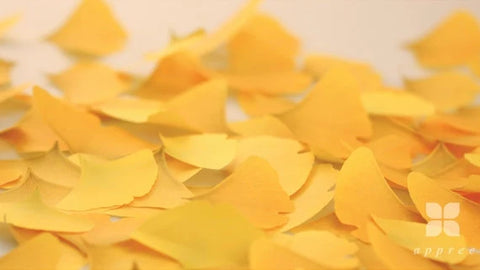 Leaf Sticky Notes [10types]