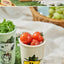 Scout Peanuts Tumbler [2types]