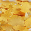 Oak Leaf Sticky Notes L [2colors]