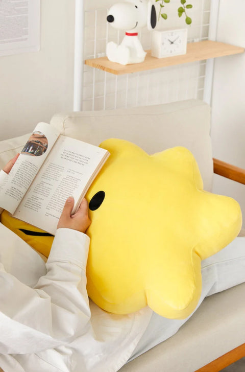 Peanuts Woodstock Face Cushion