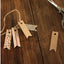 Masking Tape [Wildflower]